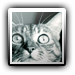 Avatar de polochon59640